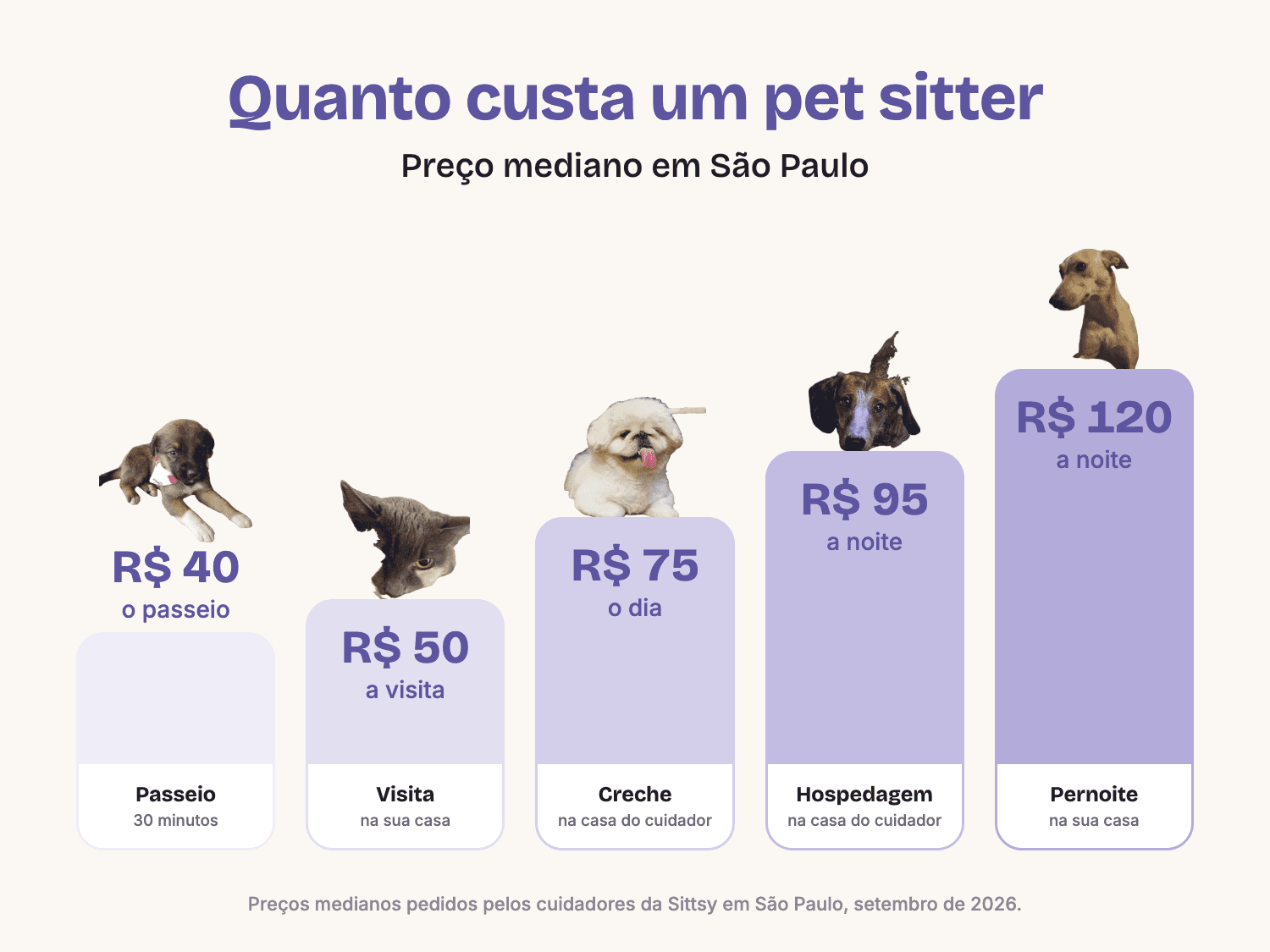 Preço mediano de um pet sitter em São Paulo: passeio R$ 40, visita R$ 50, creche R$ 75 o dia, hospedagem na casa do cuidador R$ 95 a noite, pernoite na sua casa R$ 120